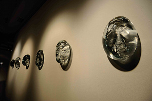 Проявления, 2010