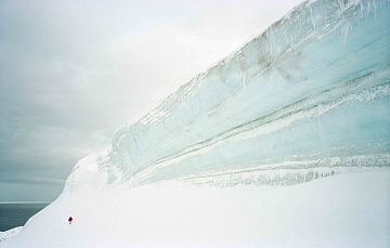 "Antarctica", 2005