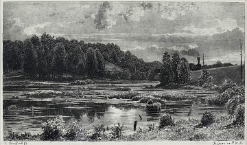 "Wetlands in VZHD", 1886