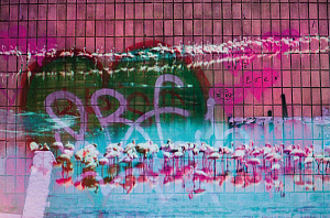 Фото из серии «Тамагочи», 2010