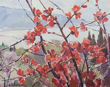 "Japanese quince", 1980s