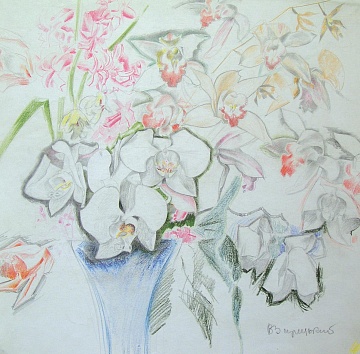 "Flowers", 1970s