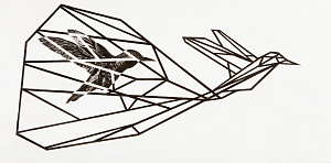 Из серии «Клетка», 2012