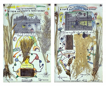 Diptych "The vegetation and peat upper and lowland swamps type", 1995