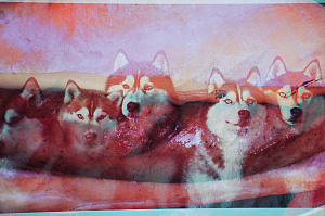 Из серии «Тамагочи», 2010-2011