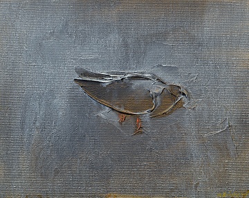 "Dove", 2015