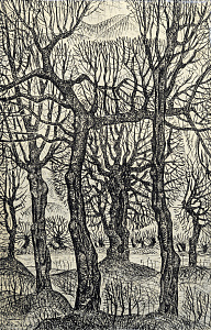 «Из жизни деревьев», 1975