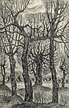 "From the Life of Trees", 1975