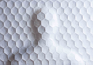  — "In the network of polymeric materials", 2011