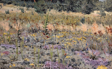 "Meadow", 1900s