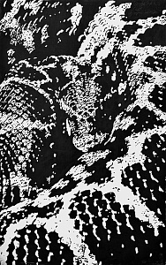 «Гад» из серии «Сон Мэри», 2011