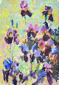 "Iris", 1971