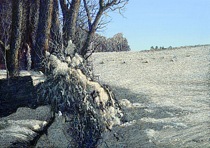 «Зовут дальше зимние», 2006