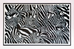  — "Zebras", 1997