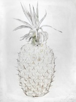  — Pineapple, 2009