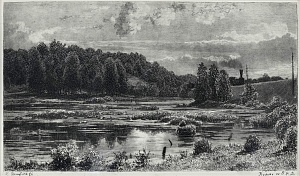  — "Wetlands in VZHD", 1886