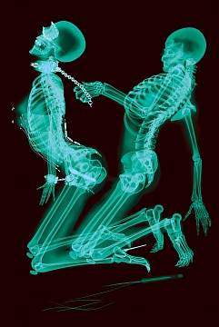 Из серии X-ray professional photo, 2011