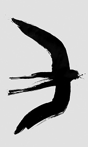 Swallow, 2019