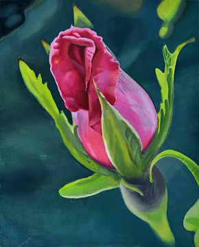 "Rose" from the "Khabaryky" series, 2014-2015