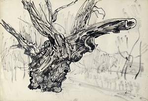 "Old tree", 1970s