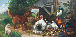"Poultry yard», XIX century