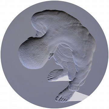 "Imprint", 2014