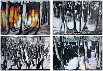 4 работы из серии "За деревьями", 2013-2014