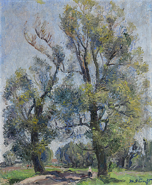 "Old willows", 1975