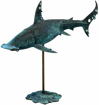 "Hammerhead shark", 2020