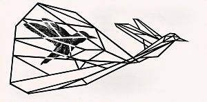  — From the series "Cage", 2012