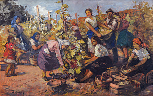 "Grape harvest", 1950s