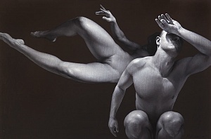 Без названия