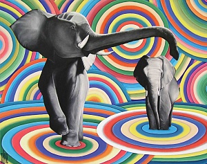 Белая полоса, 2010