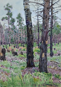 "Kostyantynivka", 1923