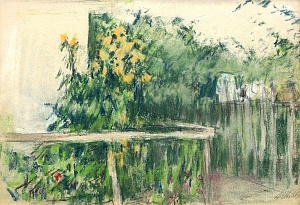 "Reflection in water", 1960s