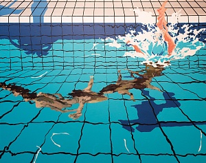 Прыгнул и поплыл, 2014